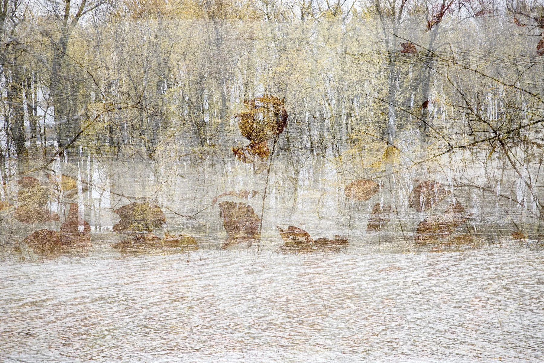 _K6A6614Automne+30ePlatw.jpg