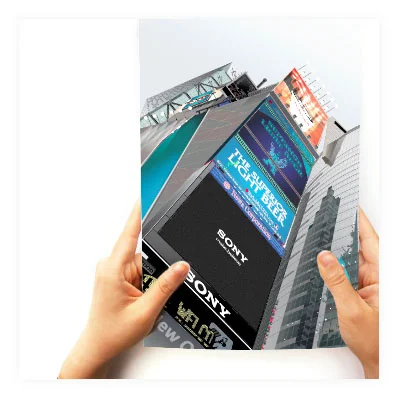 Still Life Illustration