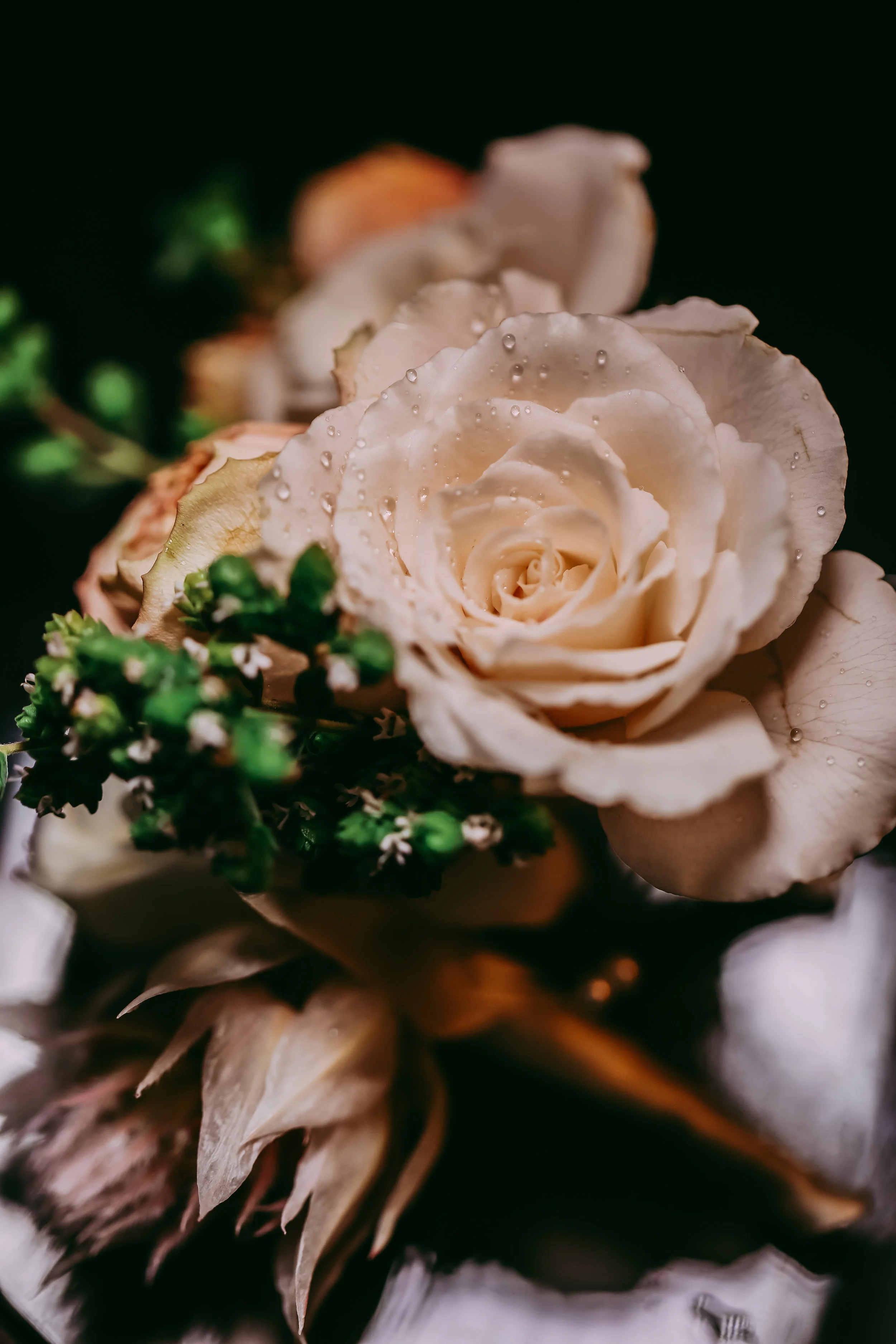 Calvin and Hannah Wedding-12.jpg