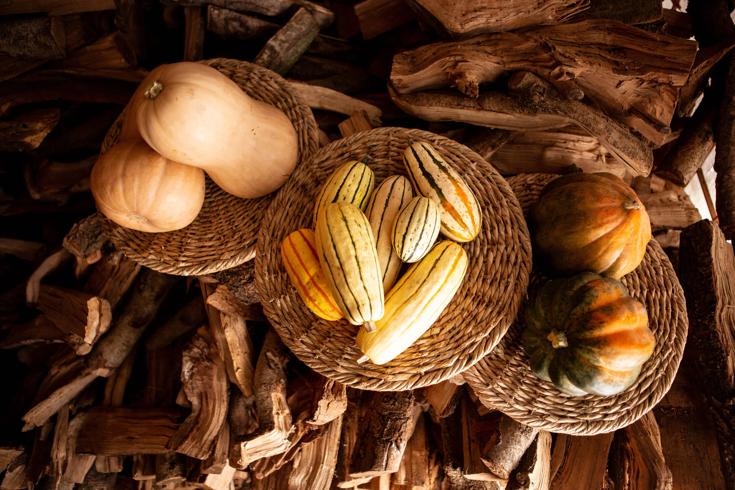 2019-10-27 Cotogna-Zucca-4370.JPG