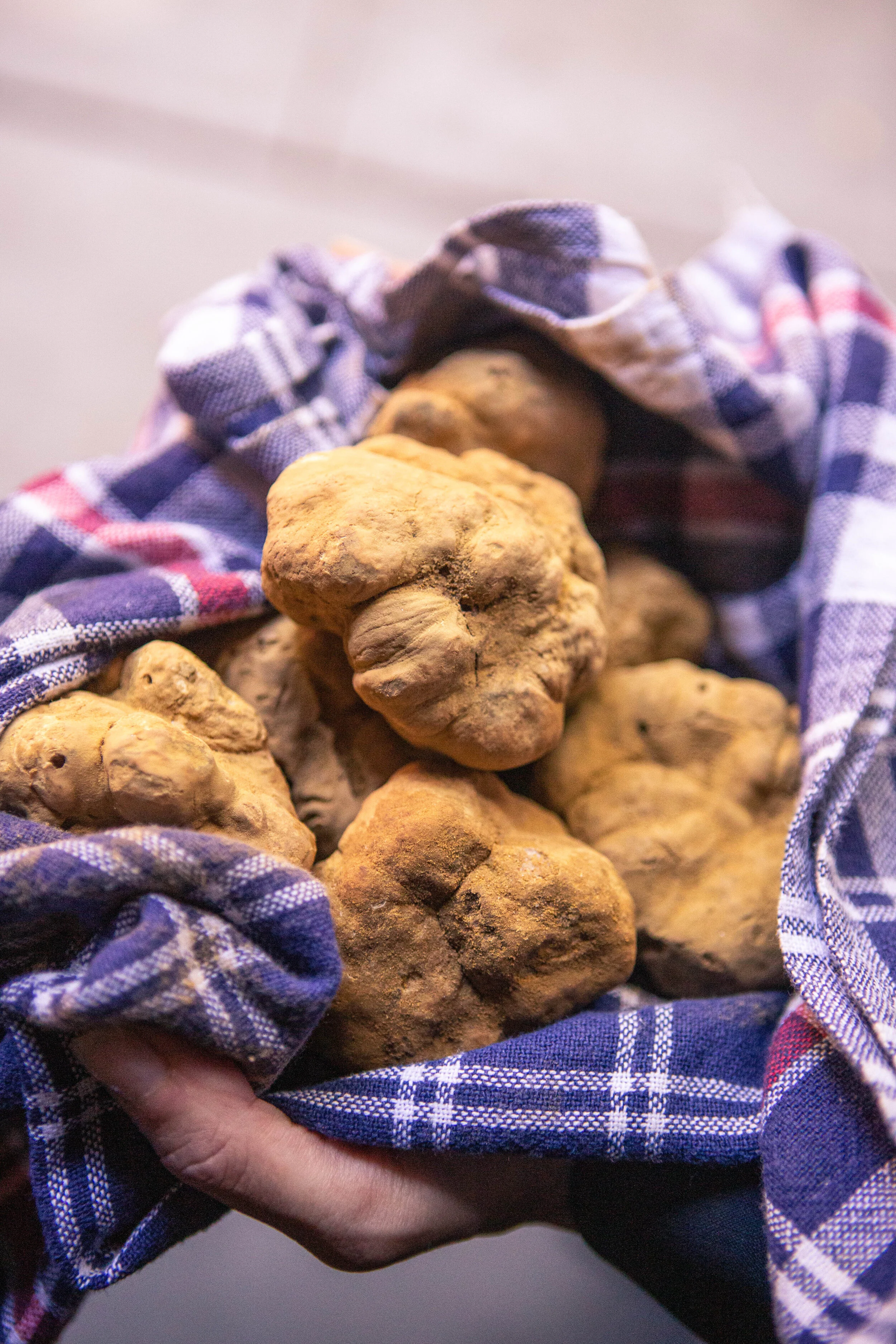 2019-9-24 Quince-WhiteTruffle-0239.jpg