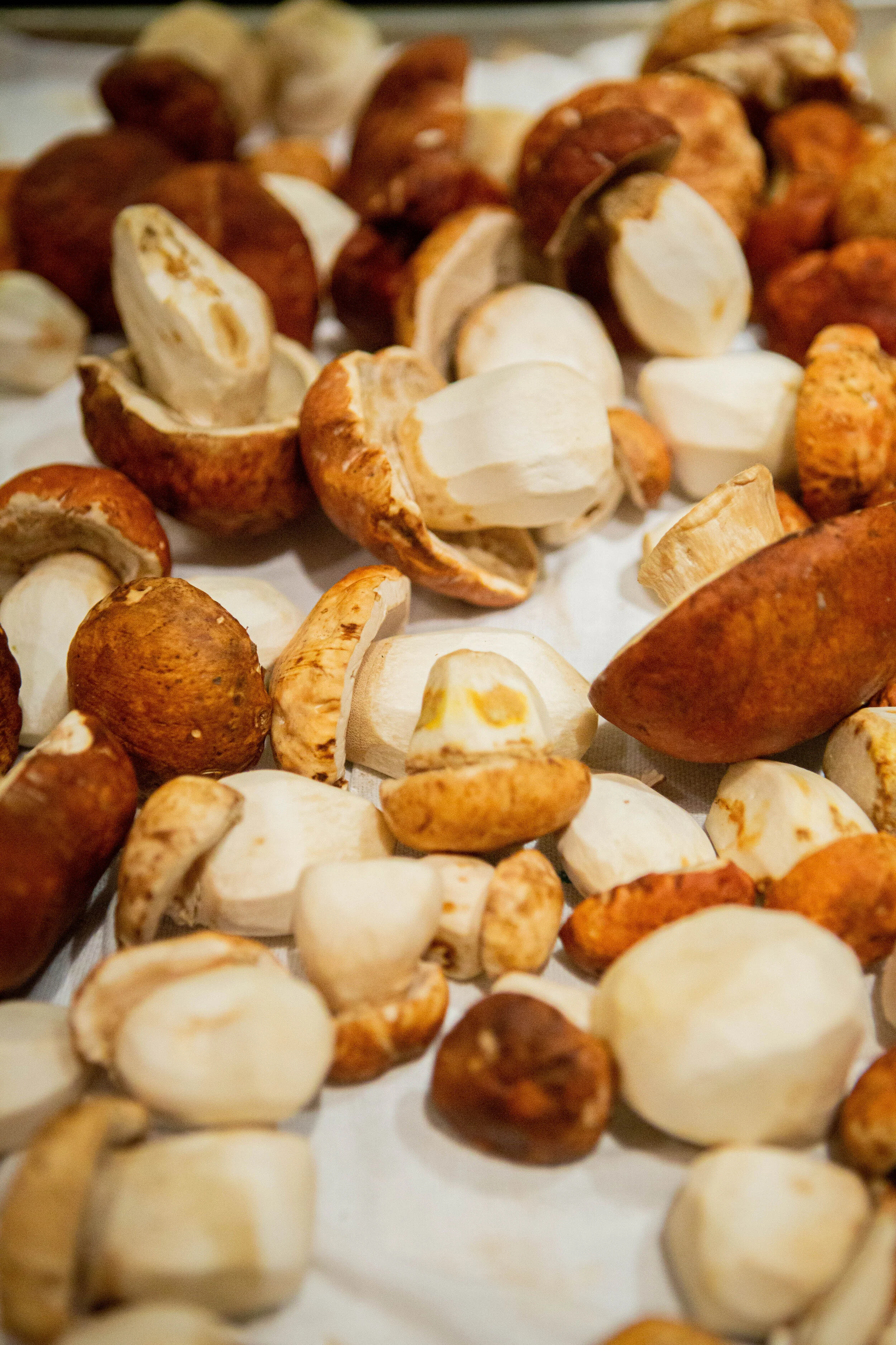 2019-6-13 Quince BTS-prep-4474.jpg