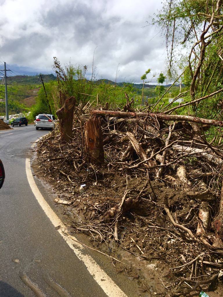 Photos from Bayamon, Puerto Rico during November 2017. Courtesy of Lizmarie Garcia.
