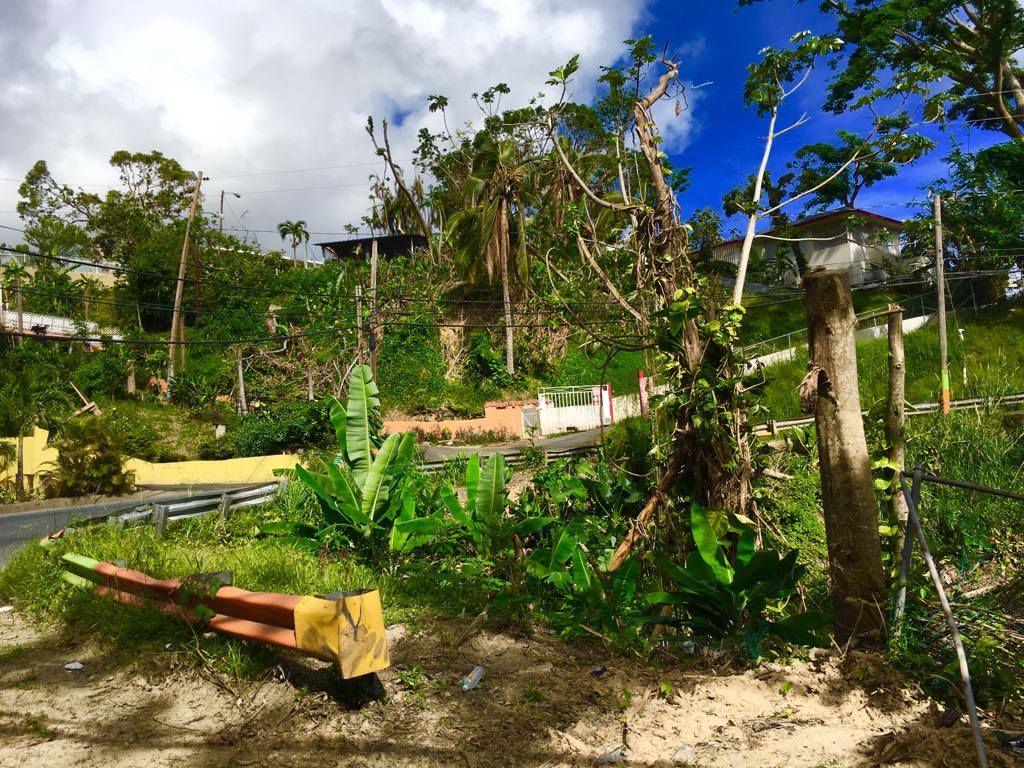 Photos from Bayamon, Puerto Rico during November 2017. Courtesy of Lizmarie Garcia.