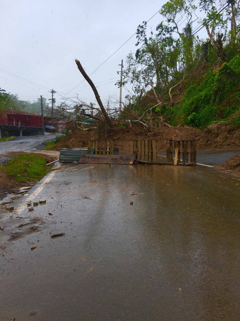 Photos from Bayamon, Puerto Rico during November 2017. Courtesy of Lizmarie Garcia.