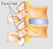 Facet Joints connect vertebrae to one another and are highly innervated. 