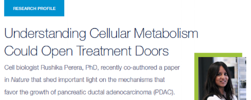 UCSF Pancreas Center News