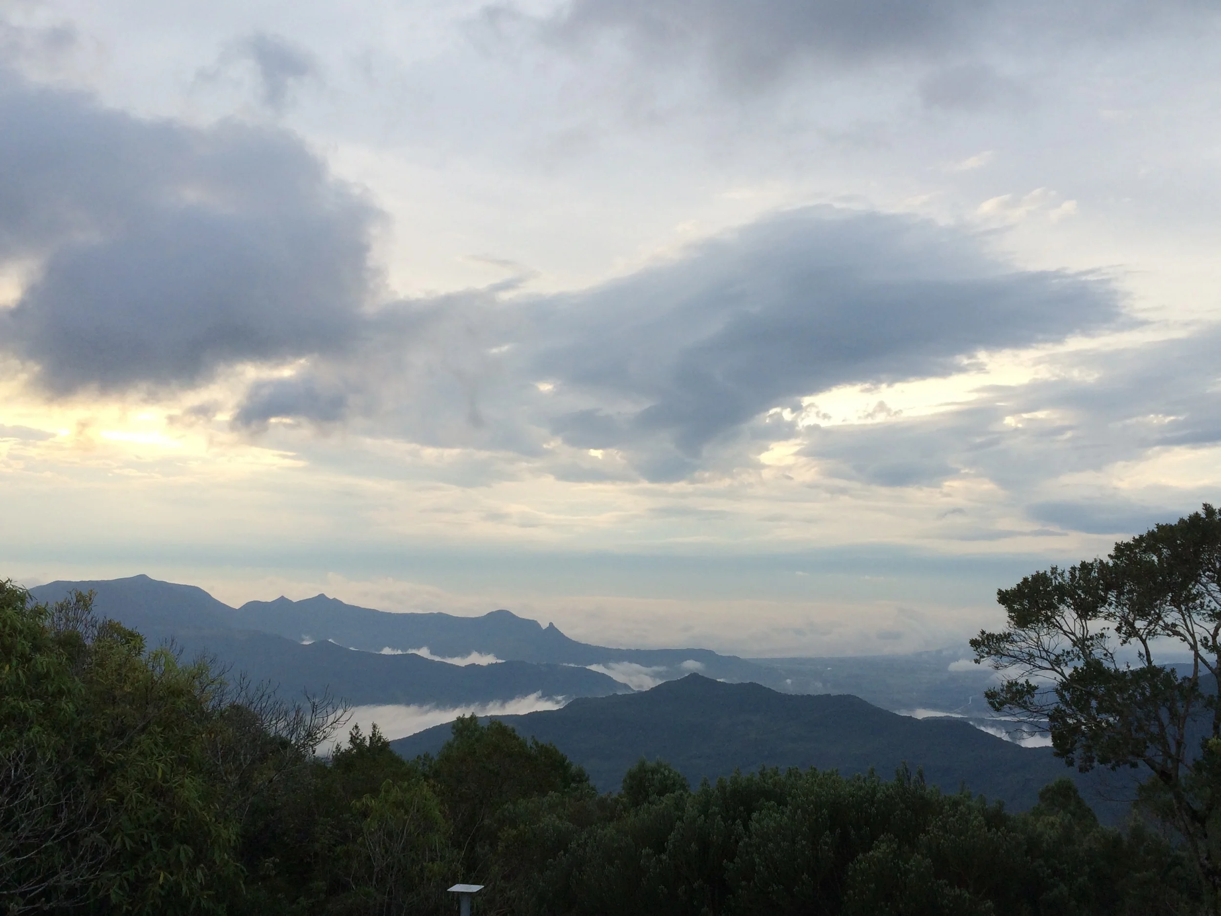 III Bird Banding and Molt Analysis Course