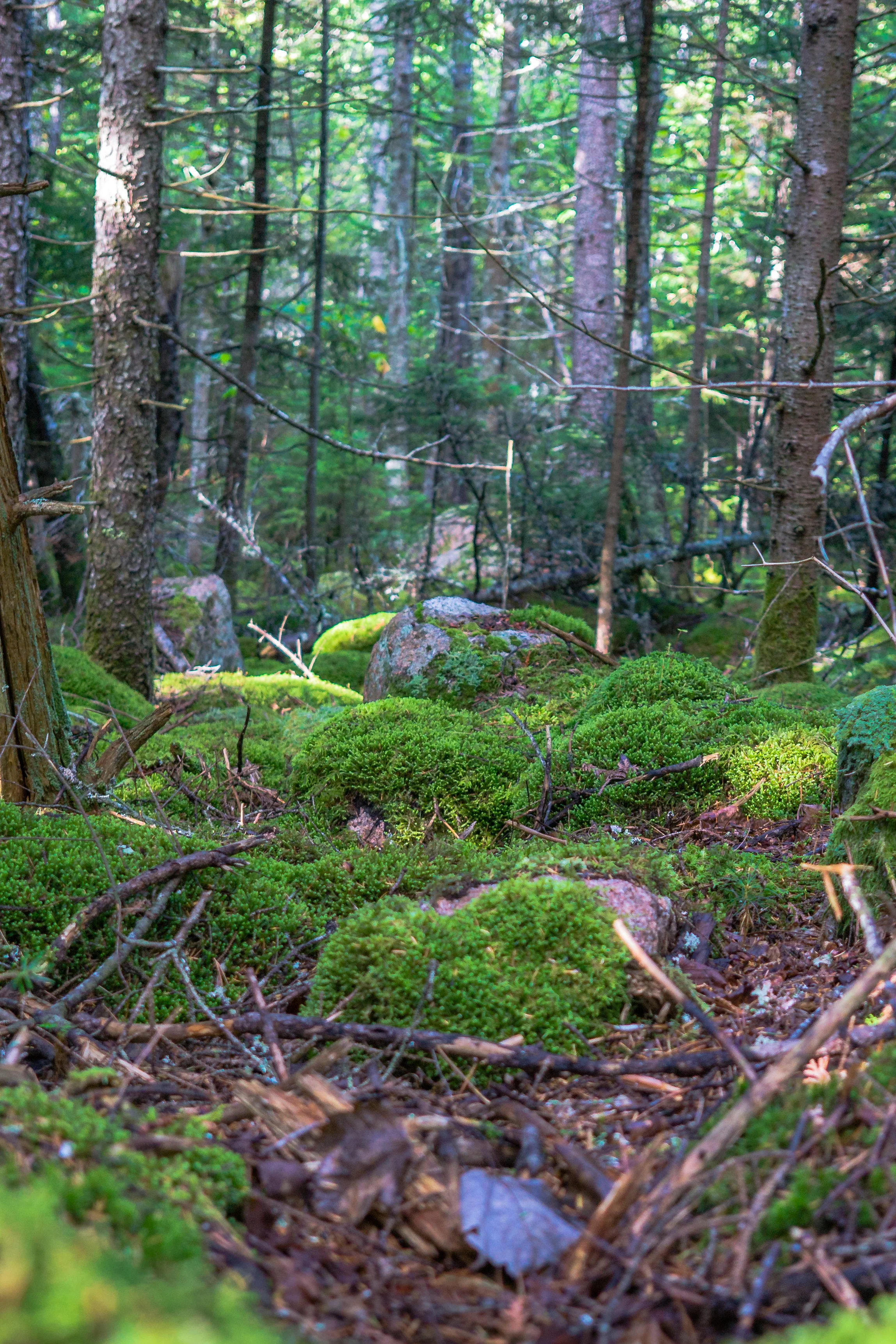RawEdit_DSC3135.jpg