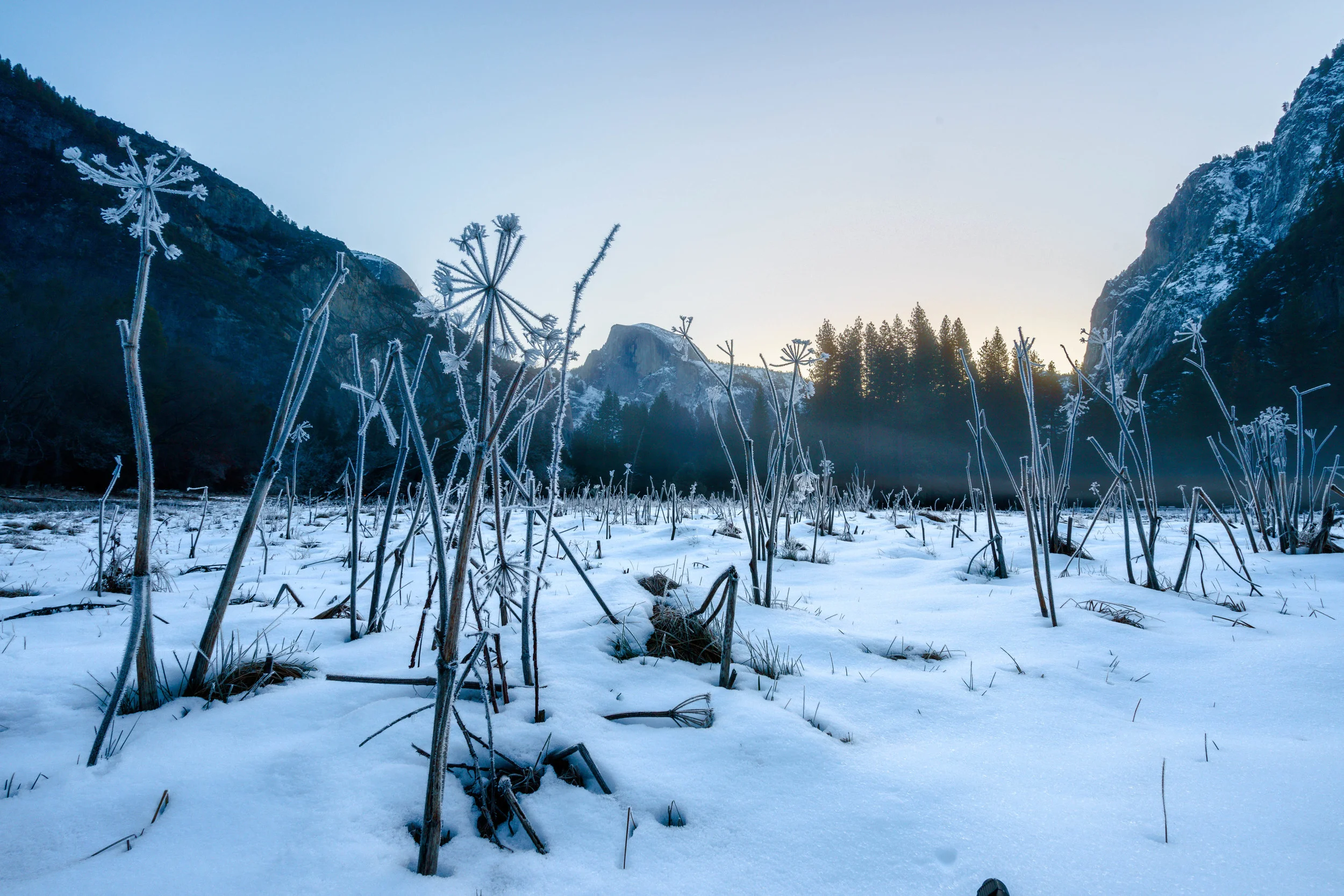 Frozen Valley