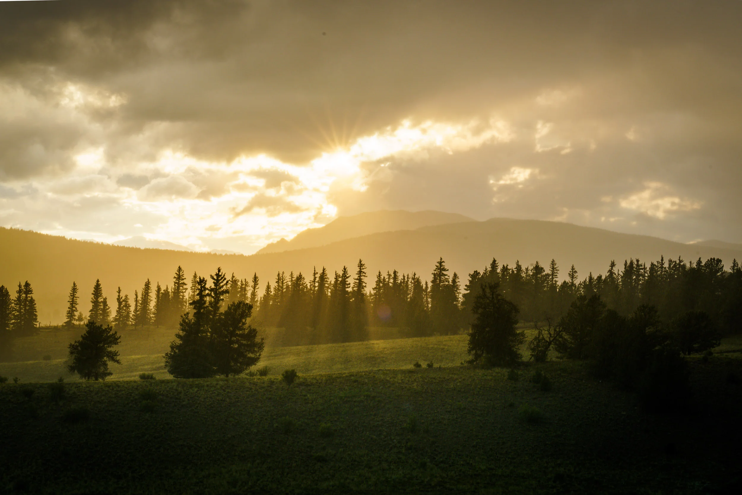 RawEditDSC02666-HDR.jpg