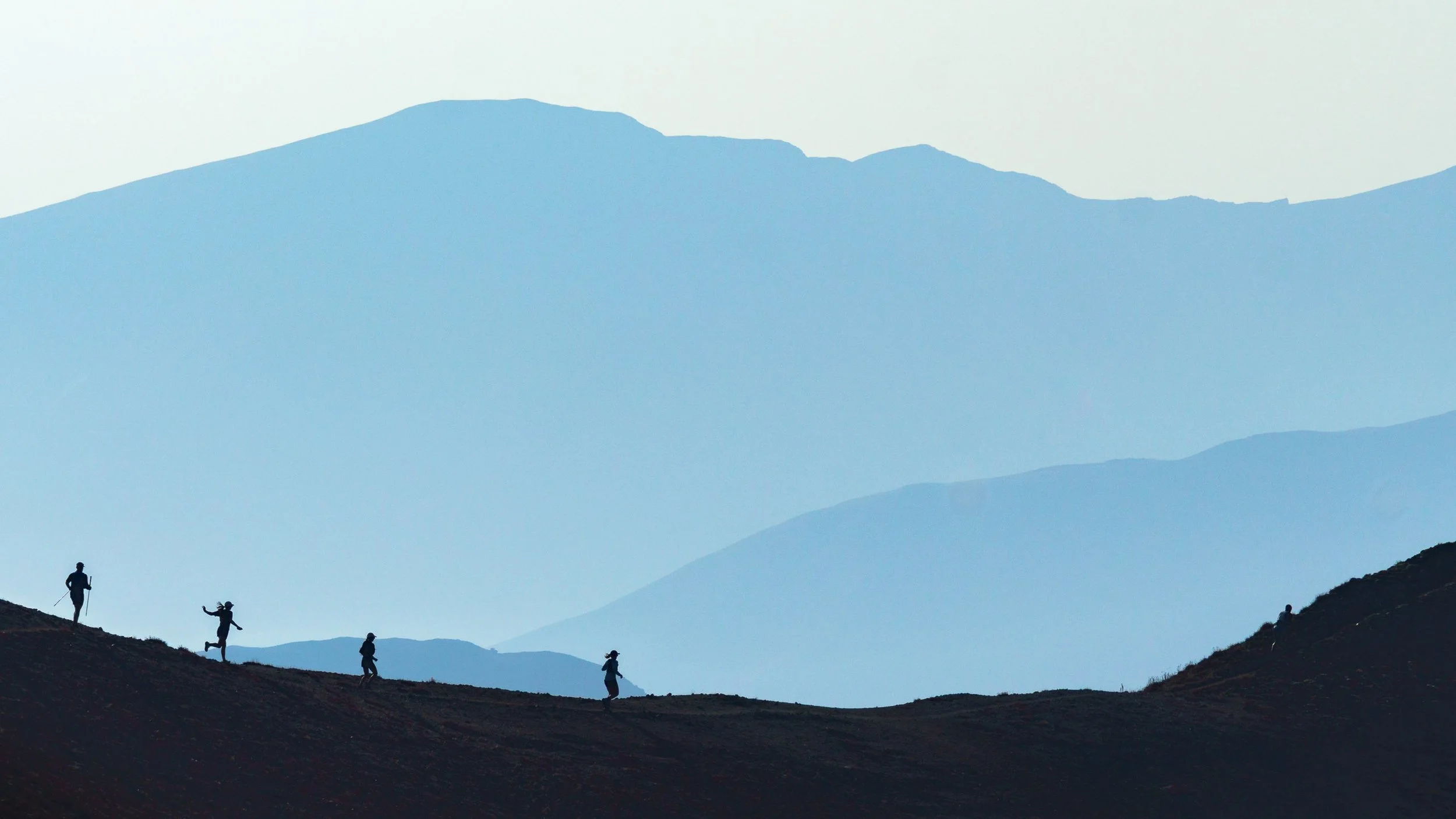 RawEditID_DSC02644Copy 2.jpg