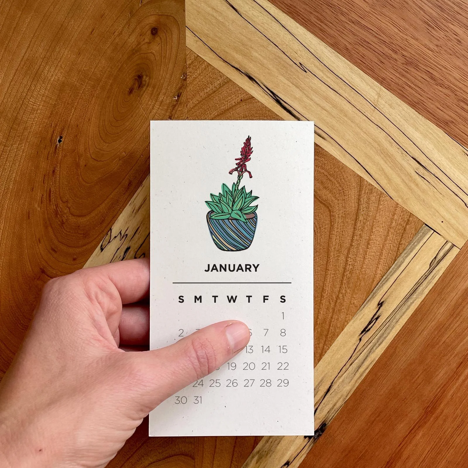 Hand2_Single_Cal_Cacti.jpg