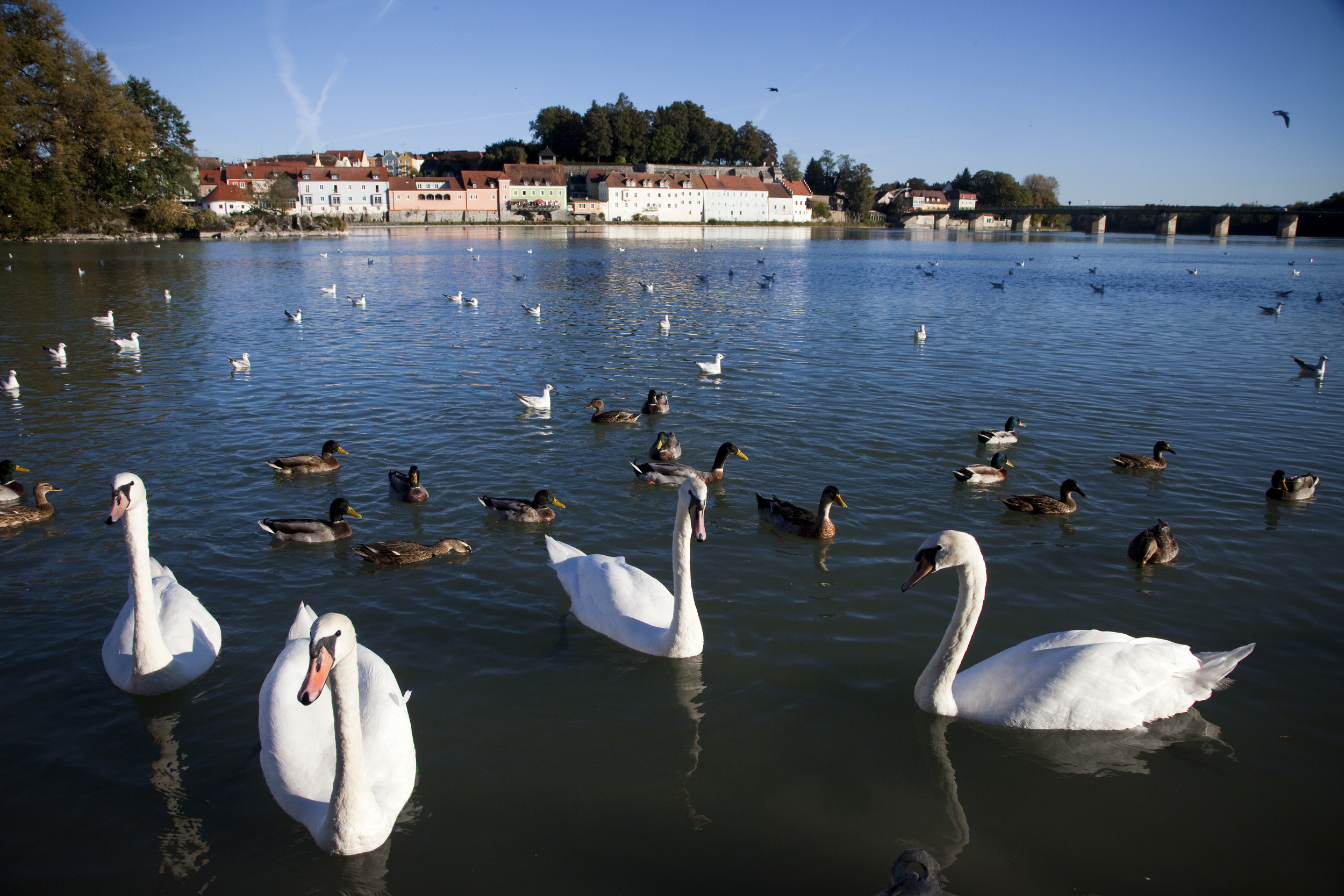 The River Inn, Bavaria/Austria