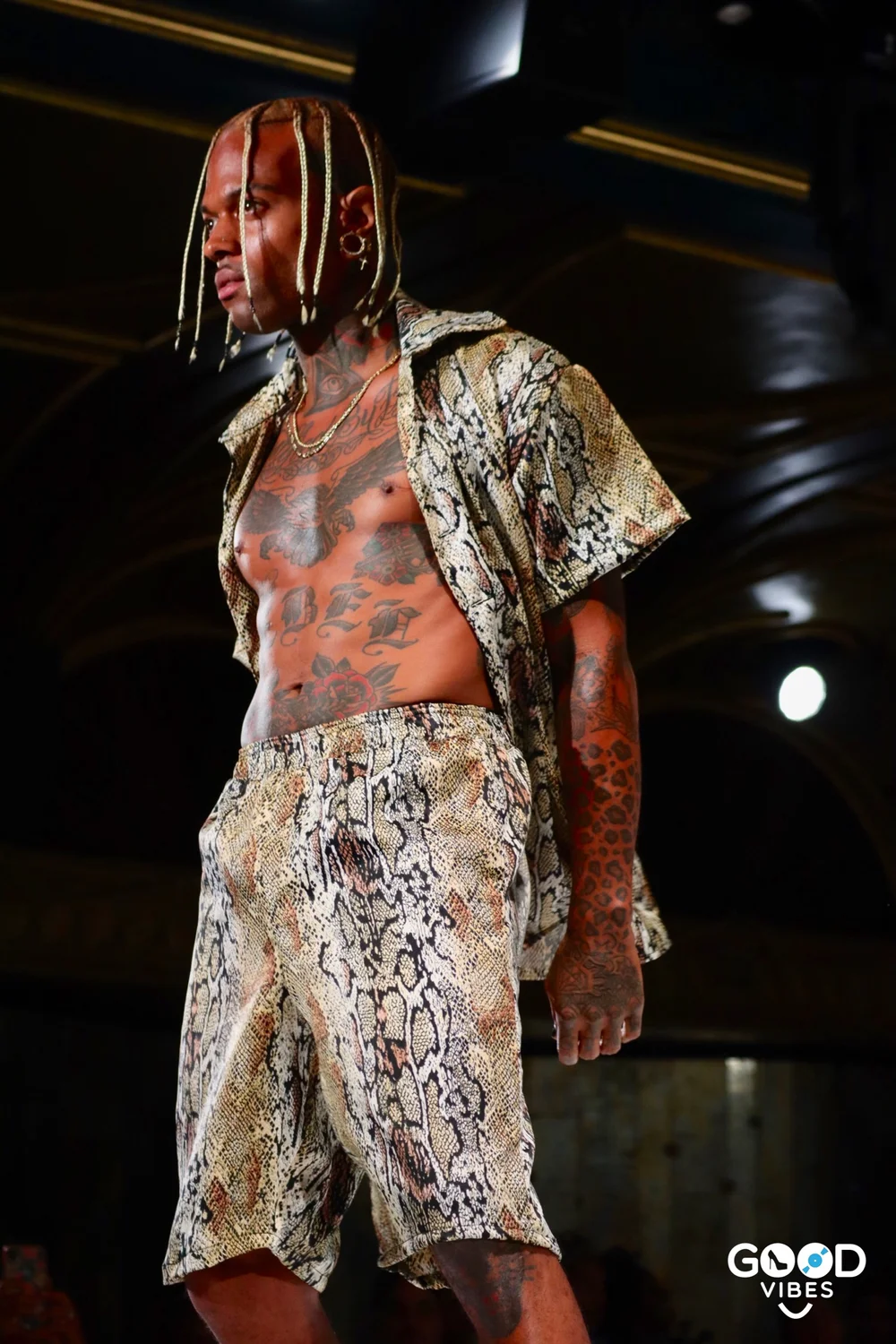 IMG_2074 TLZ 12 .JPG