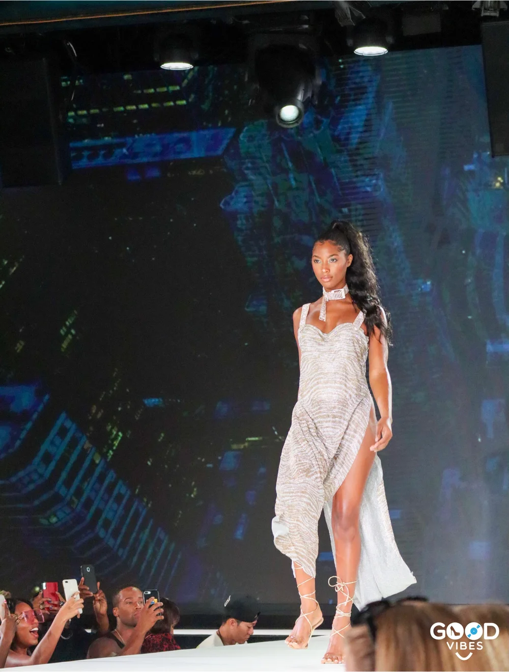 IMG_2076 TLZ 11 .JPG