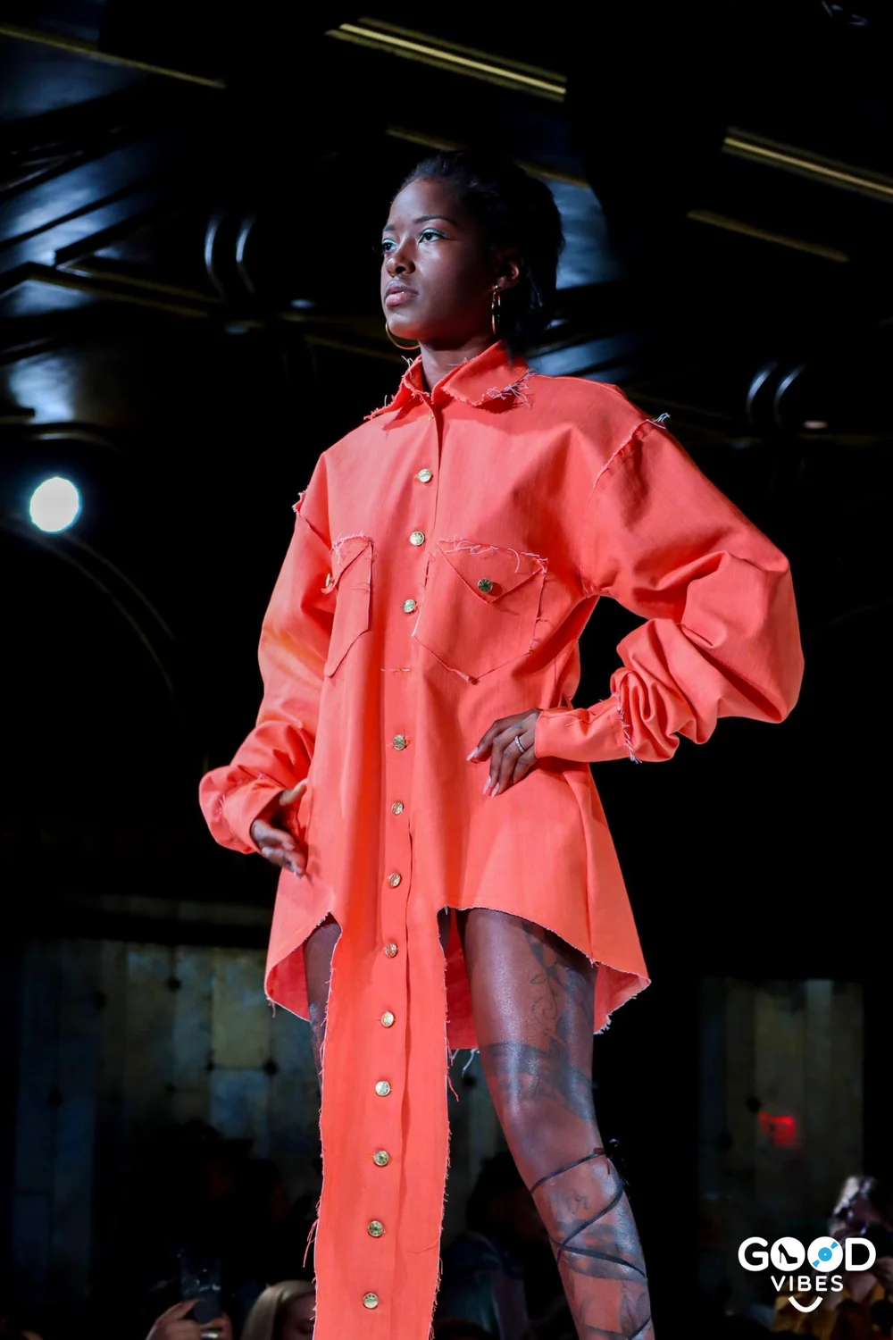 IMG_2079 TLZ 16 .JPG