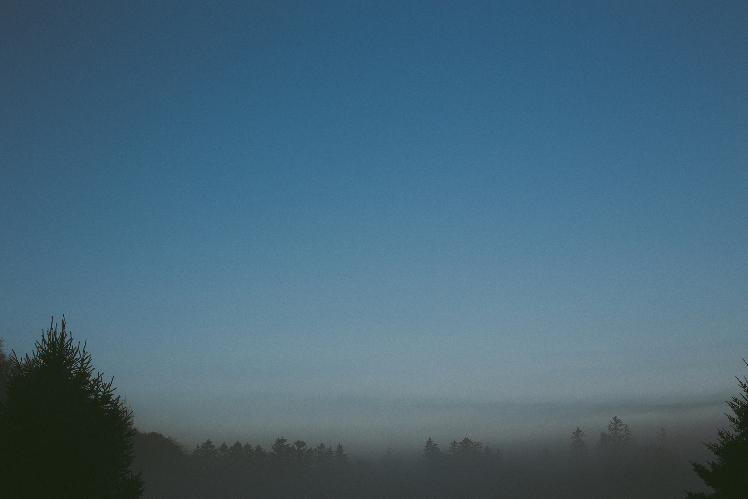 ERP73IMG_5965.jpg