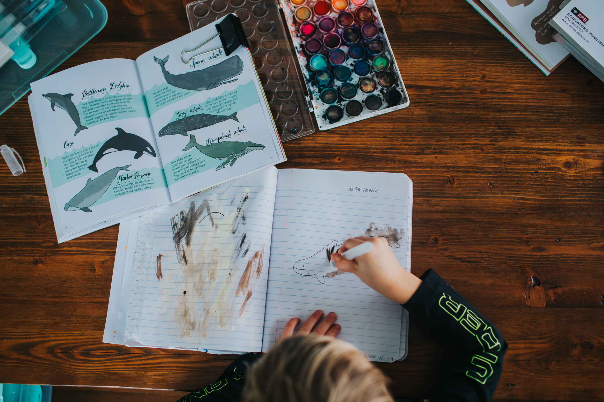 River is 4, so sometimes I’ll draw the outline for him, and then he adds color. At the end we sit together, read a few lines about the subject from the book (in this instance, a Porpoise), and then he narrates one or two things he’d like me to write next to his painting (for example, where the creature lives, how large they grow to be, or what they eat.) He absolutely loves going back and looking at these paintings of his, and tells everyone he knows that he “does school with mama everyday.”