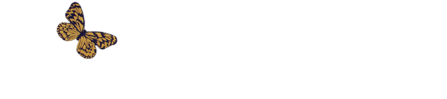 Evolutions Salon