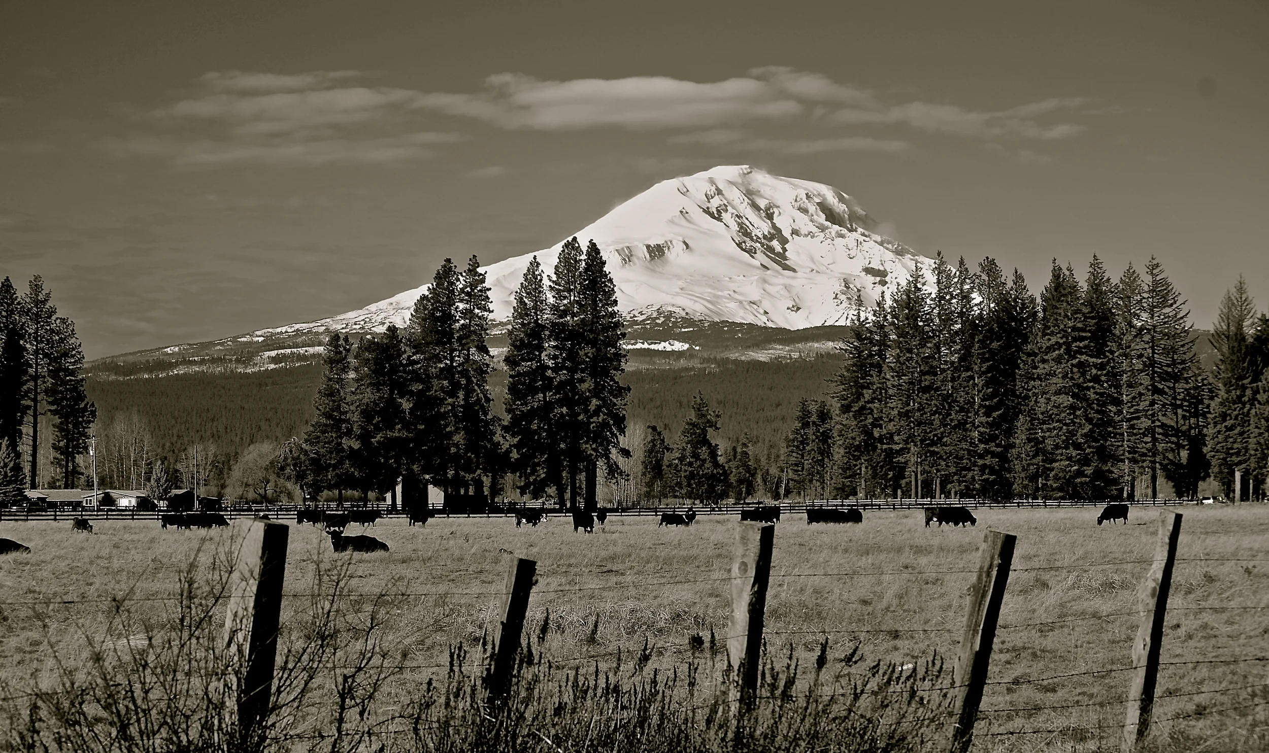 Mt. Adams, Wa