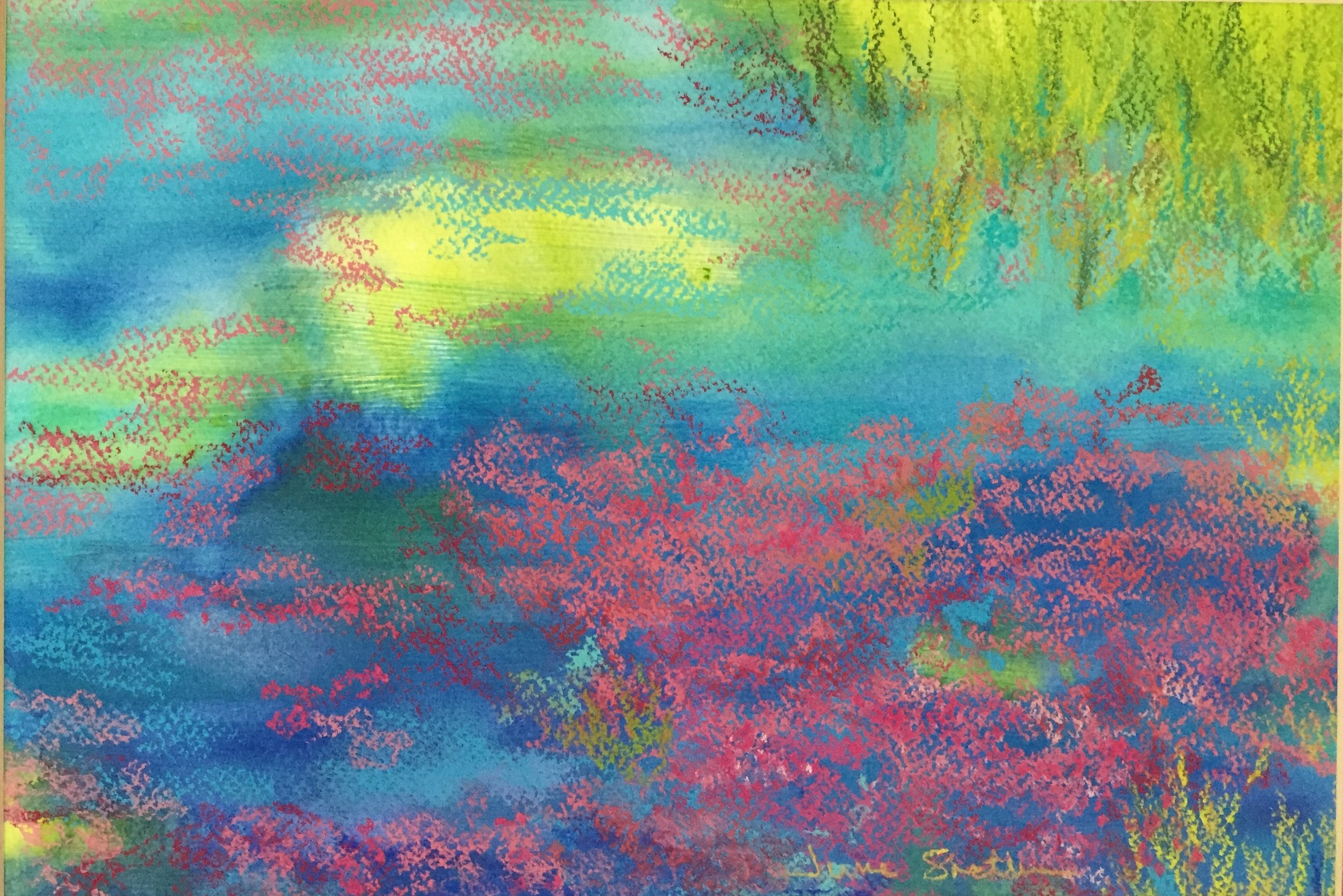 Cranberry Bog