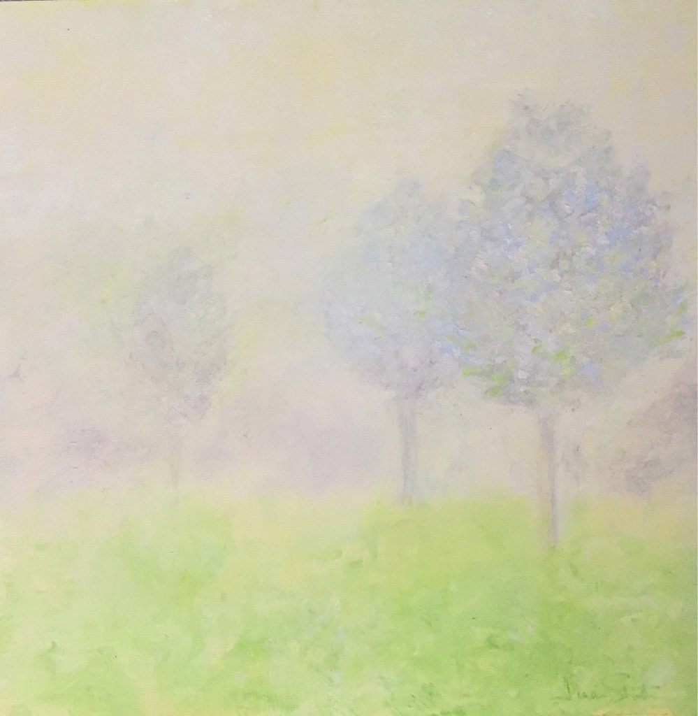Misty Spring Morning