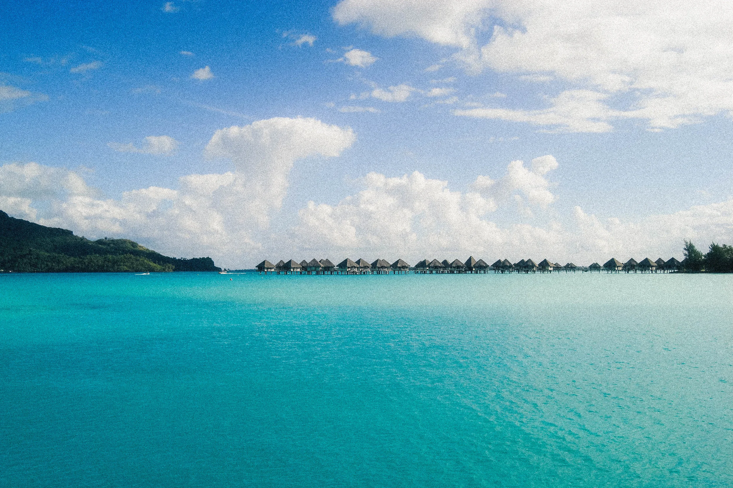 PHOTOGRAPHY - TAYLOR IFLAND
