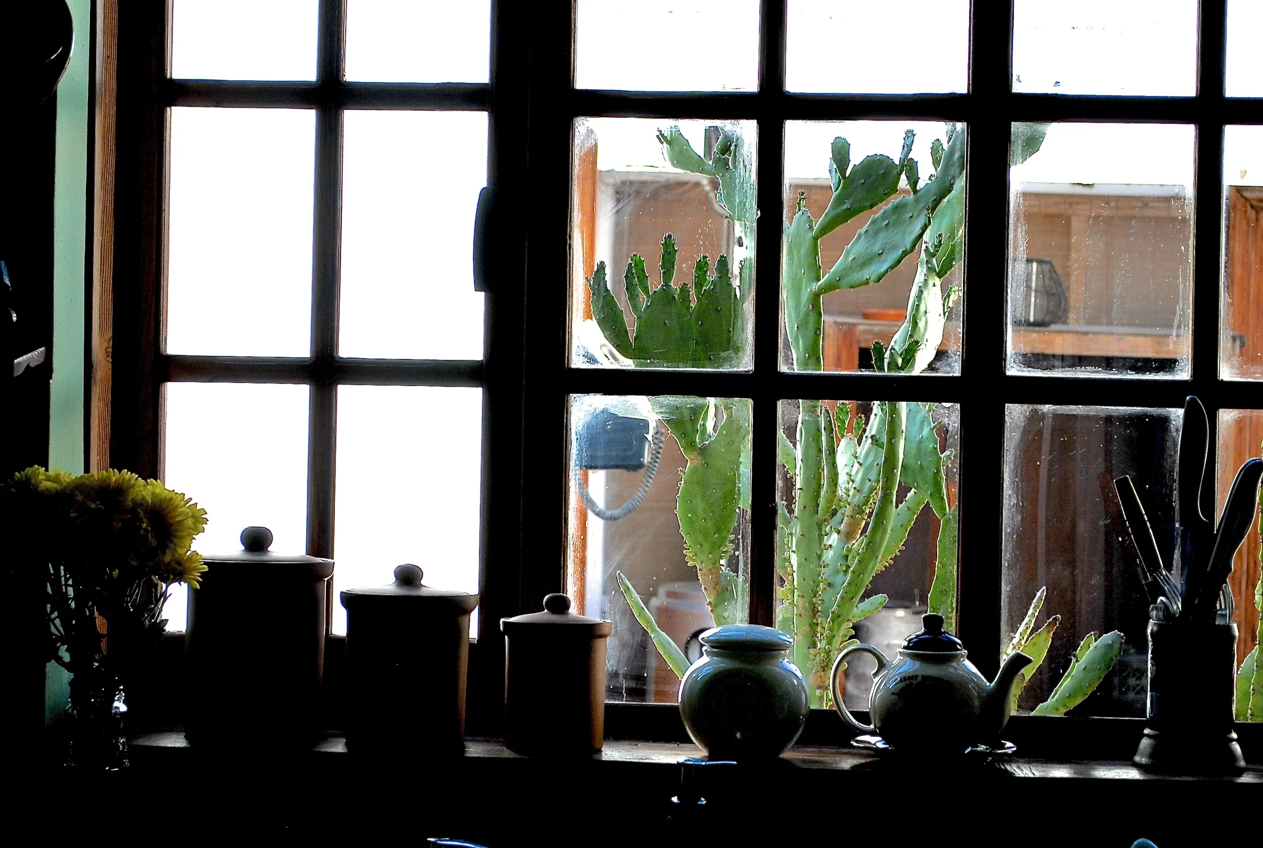 DSC_0012.JPG
