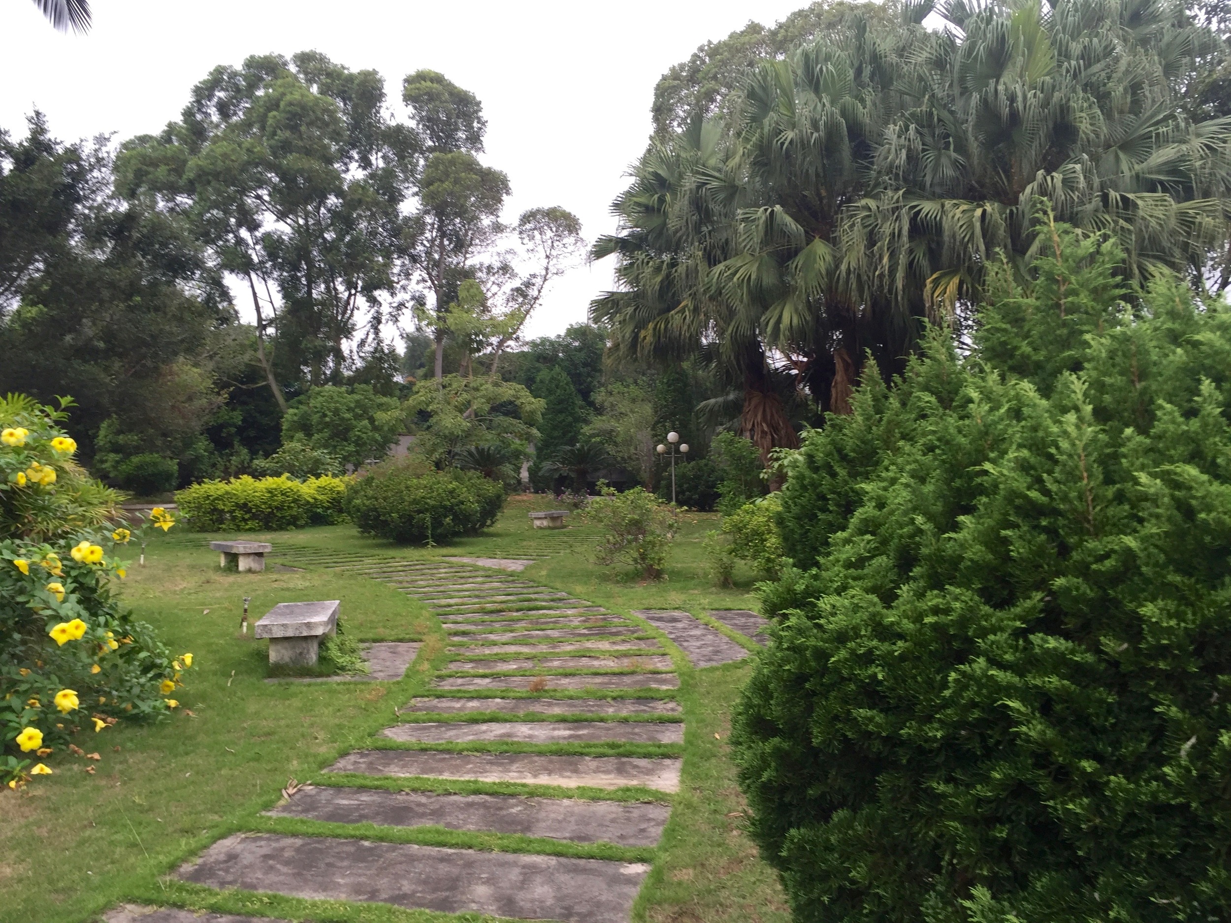 Everything is so lush and green.