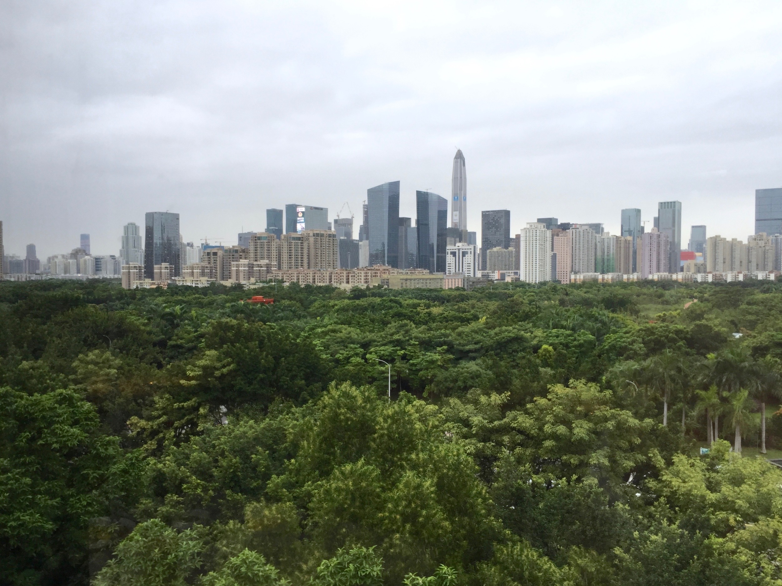 View of Shenzhen from the hotel. 