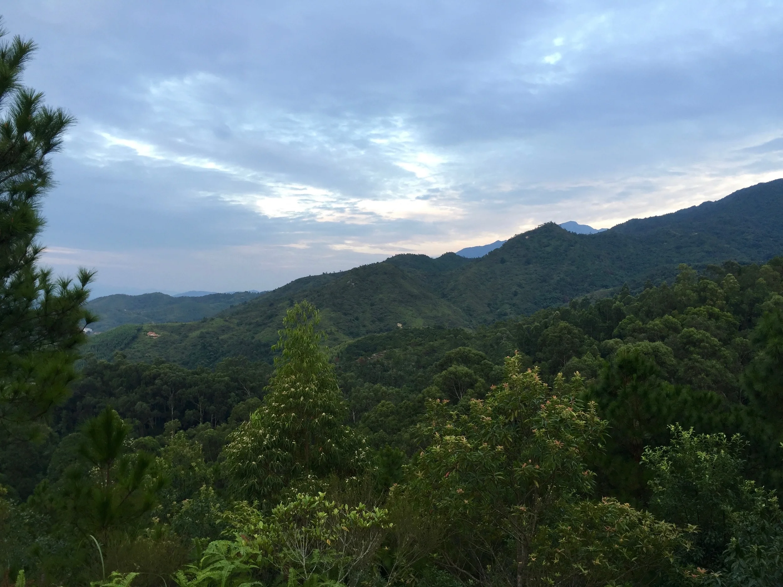 Looking out over the lush mountains. 