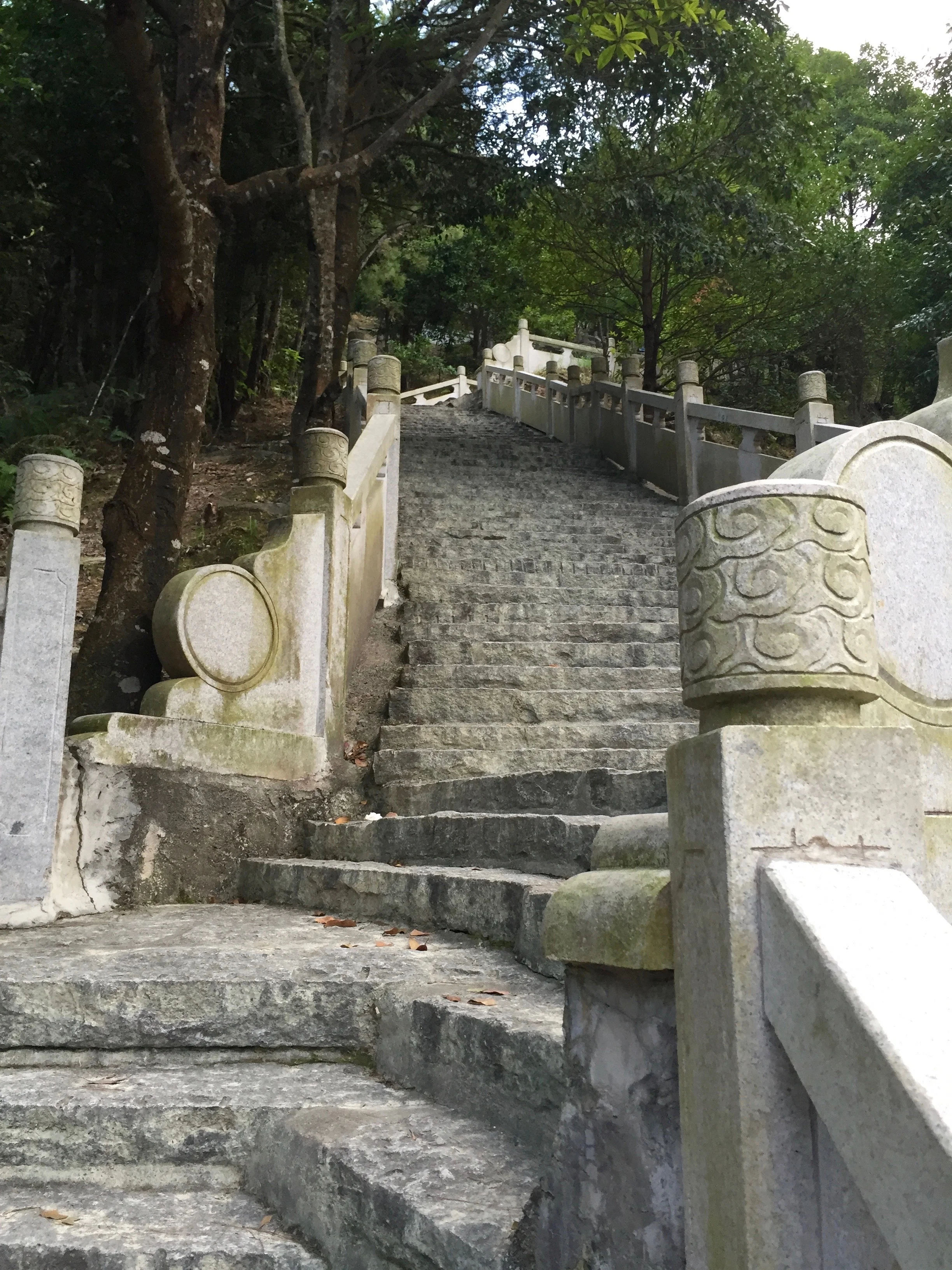 Steps, steps, and more steps!