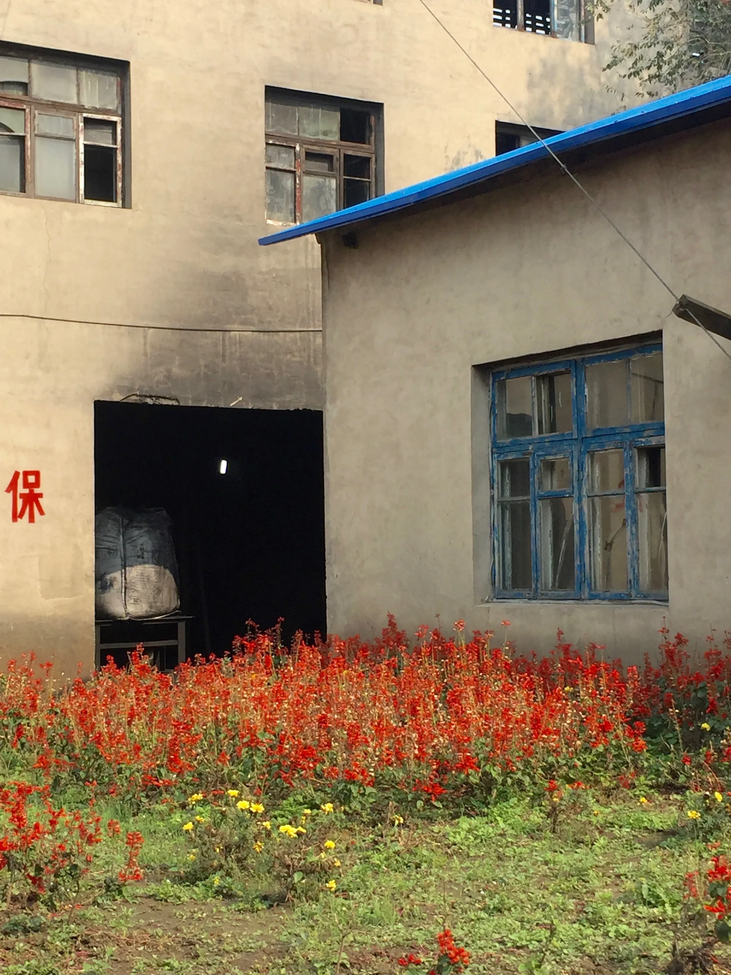Contrast of the dirty coal room and red flowers. 