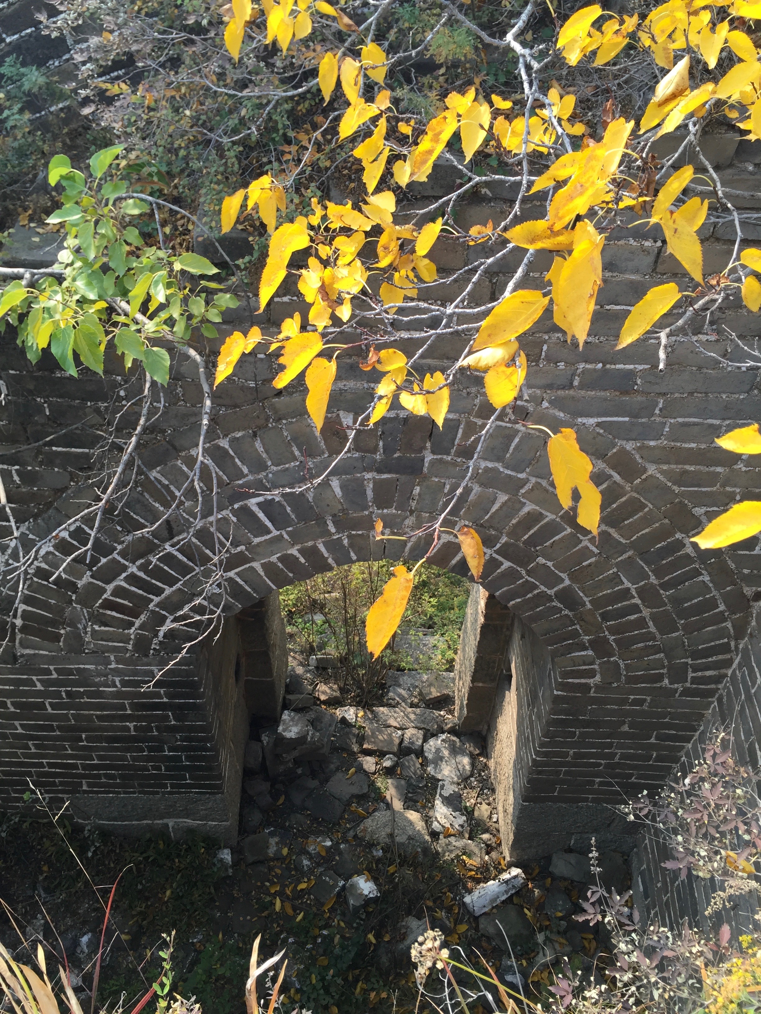 This is a gate that opened into the China side of the wall. 
