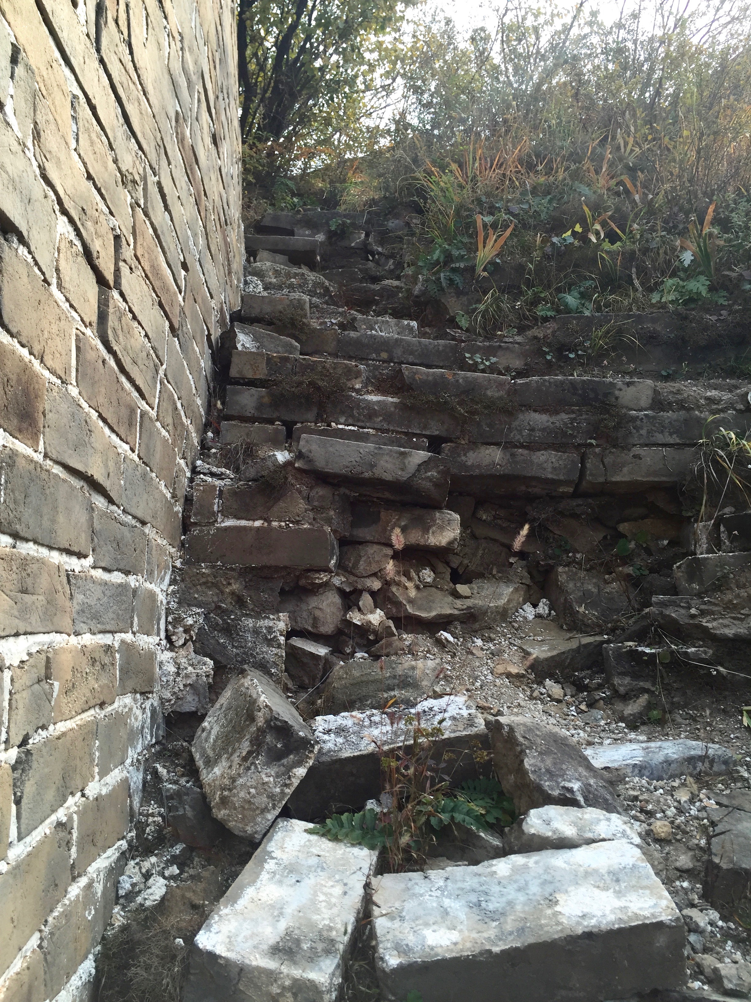 The wall became quite steep in spots!