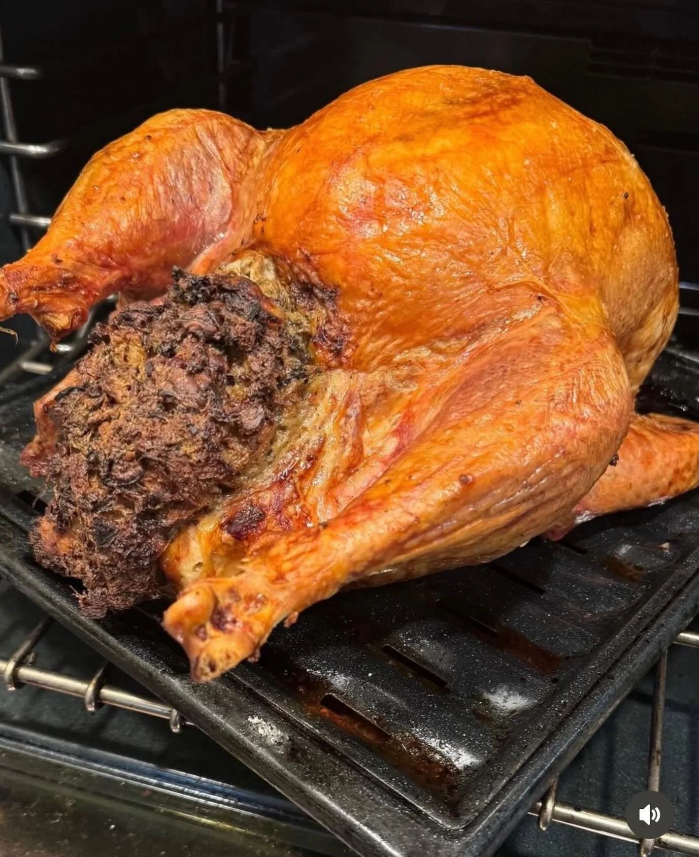 This Thanksgiving we&rsquo;re checking two things: stuffing in the bird and the bird&rsquo;s colon. Schedule accordingly. 🦃📅😂