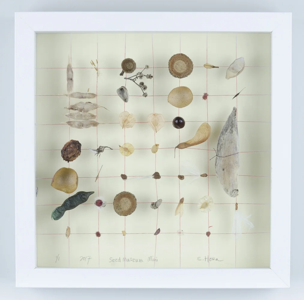 Love Song to the Red Oak Tree