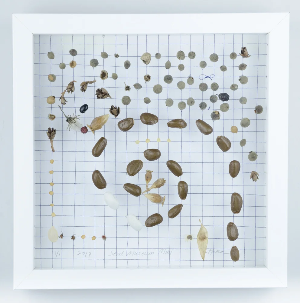 Dedicated to the Little Leaf Linden