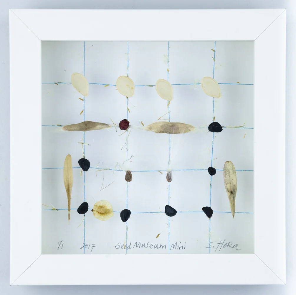 Thatcher Woods, River Forest IL Documentation