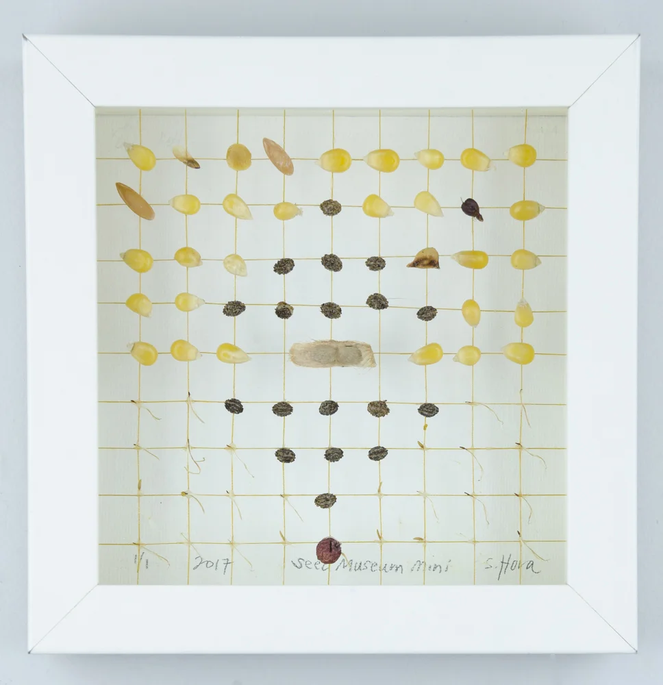 Love Song to the Milk Weed