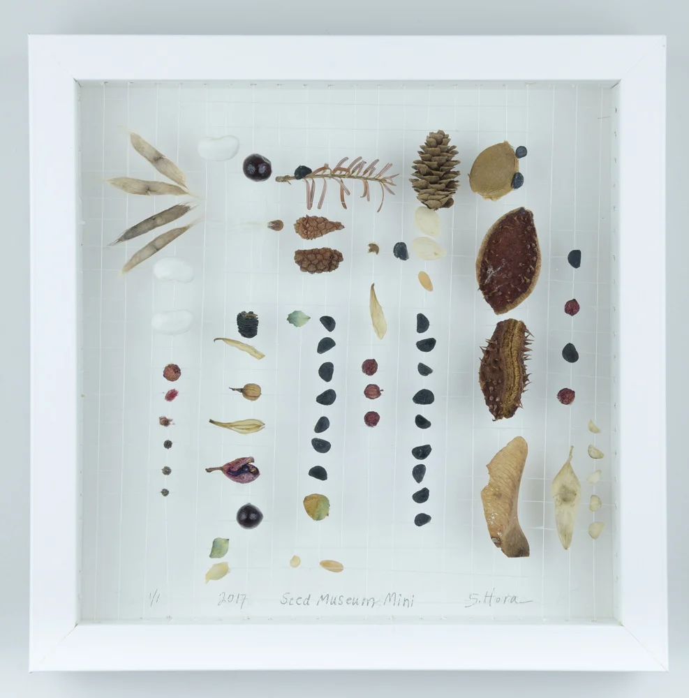 Jackson Blvd. & Desplaines crossroad, Forrest Park IL Documentation