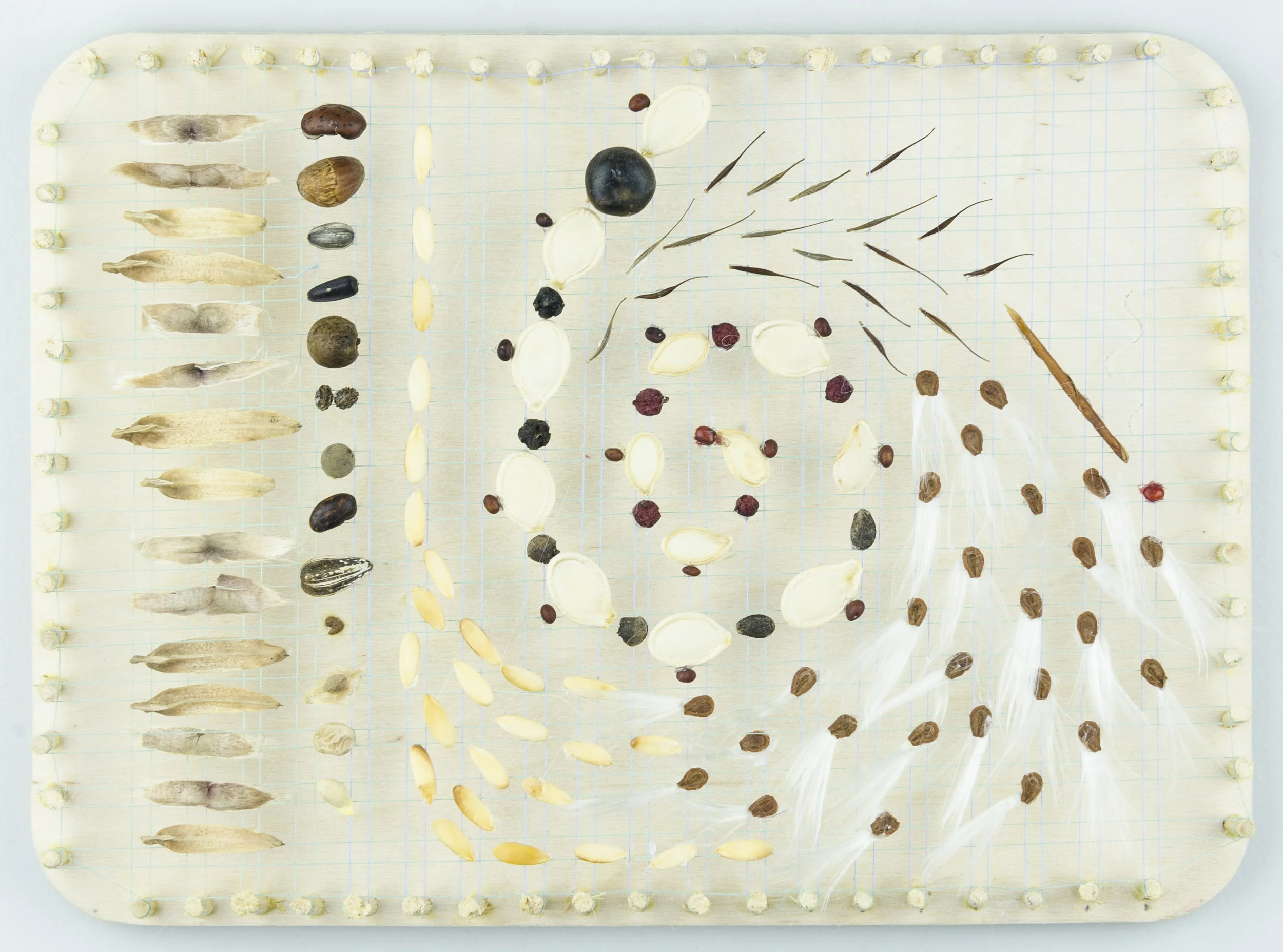 Westmount Park, Westmount QC Documentation