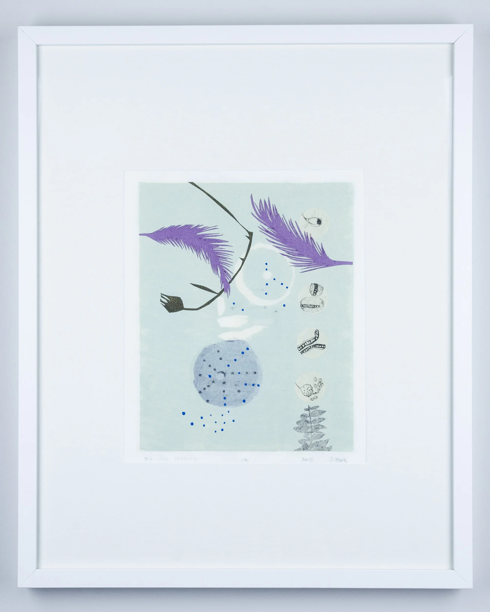 Sea Urchin and Ferns 1