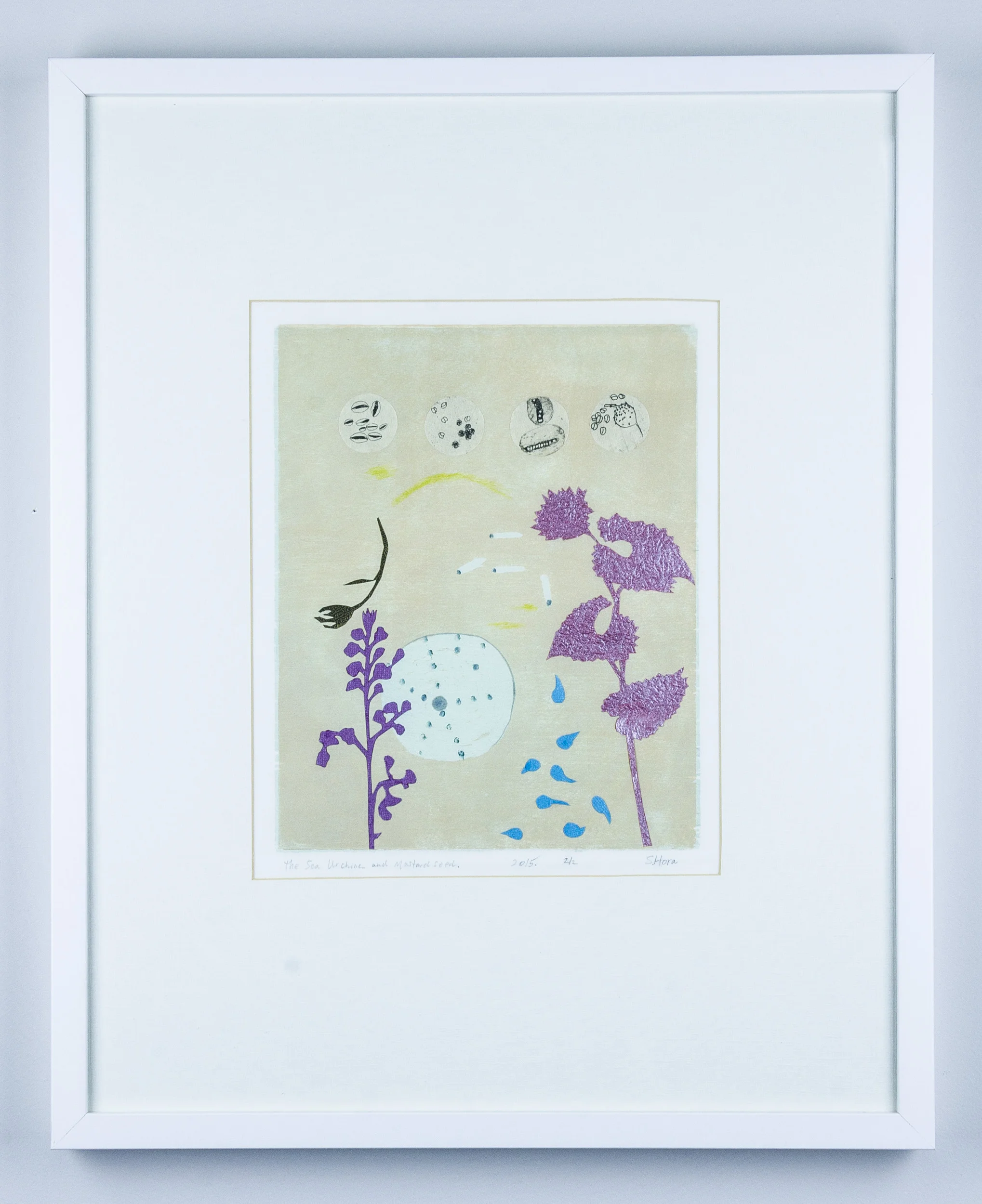 Sea Urchin and Mustard Seed 2