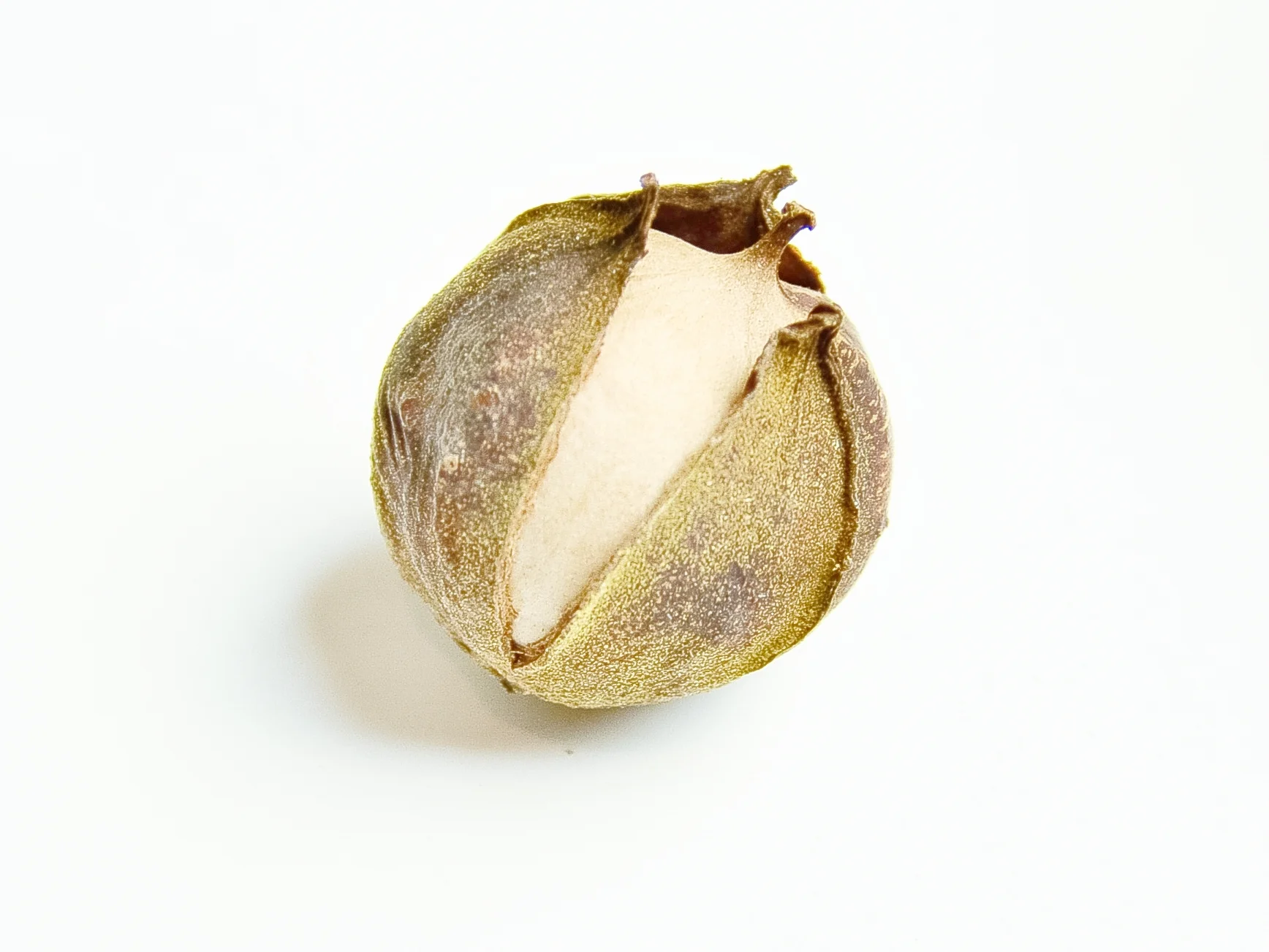 Copy of ABOUT