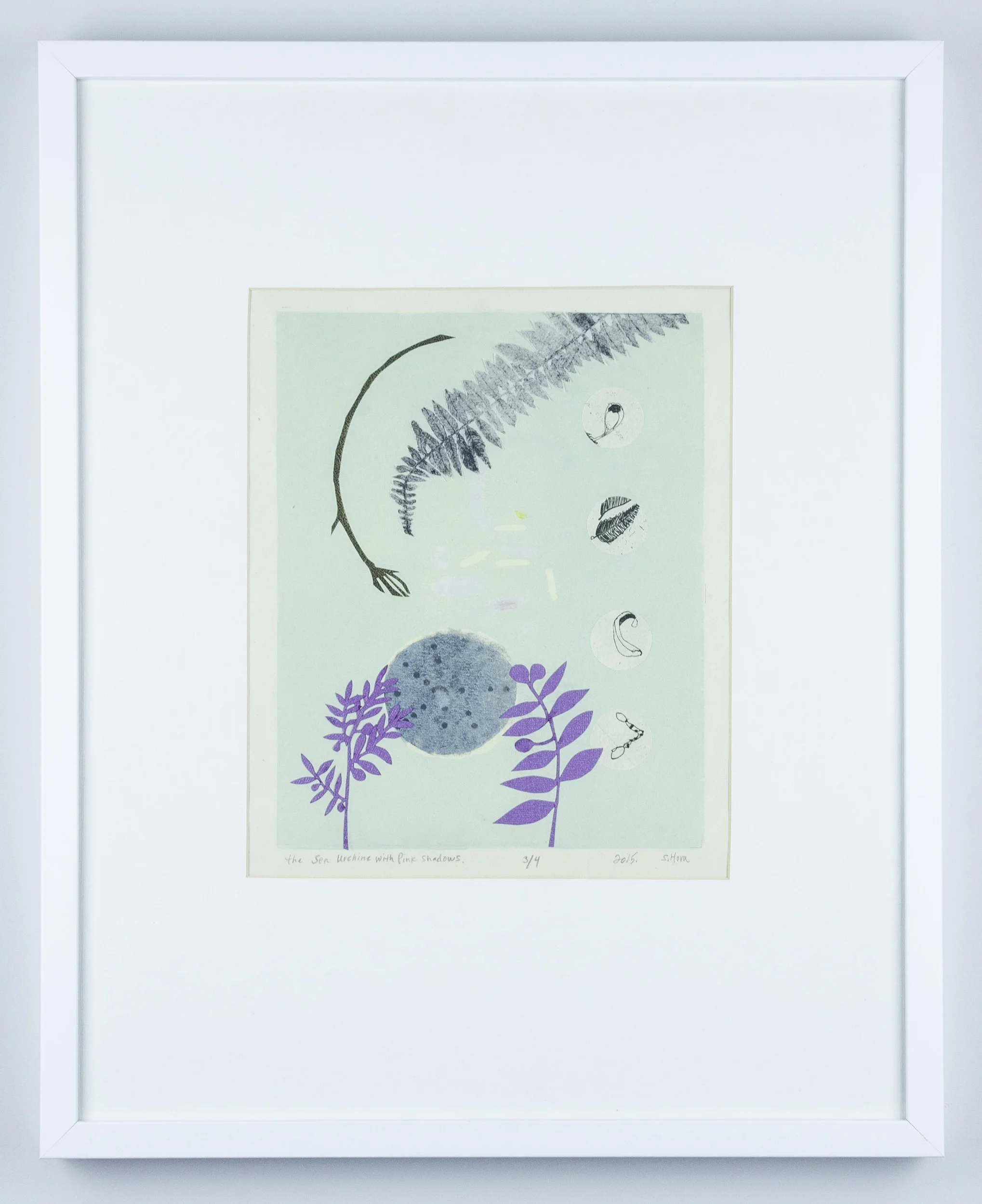 Sea Urchin and Ferns 2