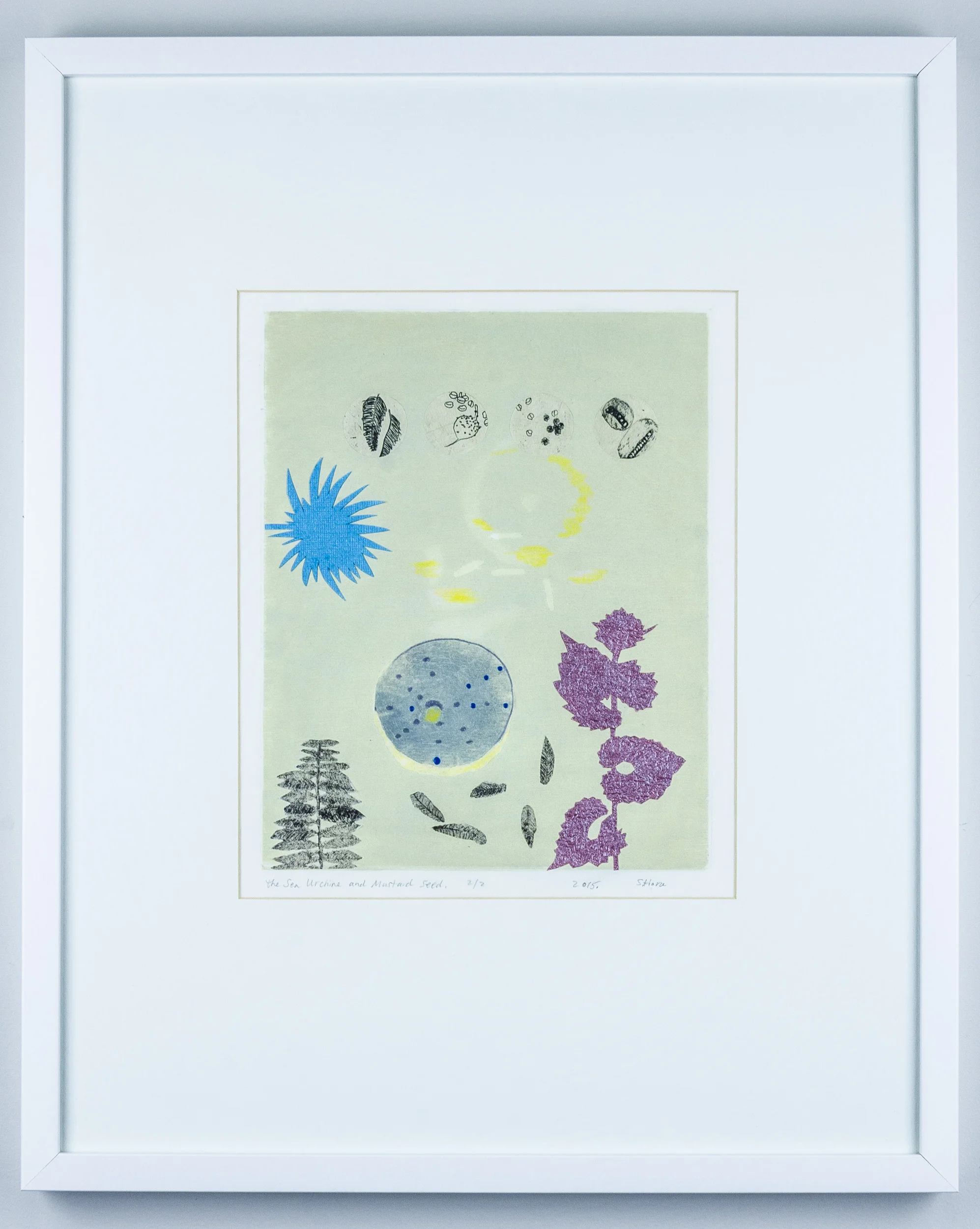Sea Urchin and Mustard Seed 1