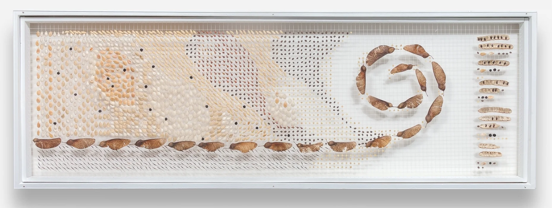    Window In: Northern Illinois and Central Florida Drift #103502     Price: $3,500   Size: 17 in. x 49.5 in. x 3.75 in.  Northern Illinois and Central Florida     collection.  Custom built shadow box style exhibit frame (re-purposed barn wood) with 