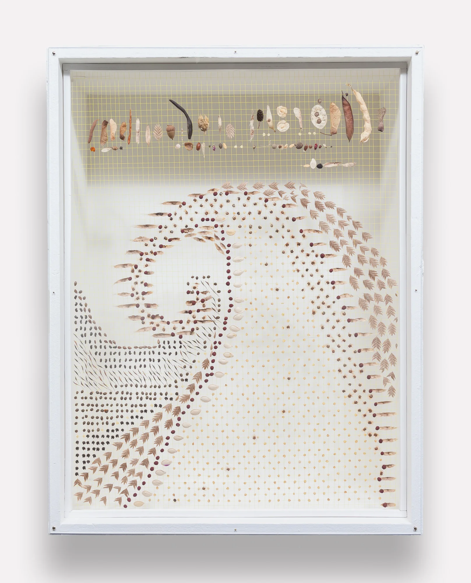    Table Box: Northern Illinois Drift #182001     Price: $2,000   Size: 29.5 in. x 22.5 in. x 11 in.  Northern Illinois collection.  Custom built shadow box style exhibit frame (re-purposed barn wood) with plexiglass front. Painted white (low VOC). 